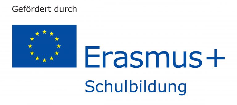 ErasmusLogo-768×341